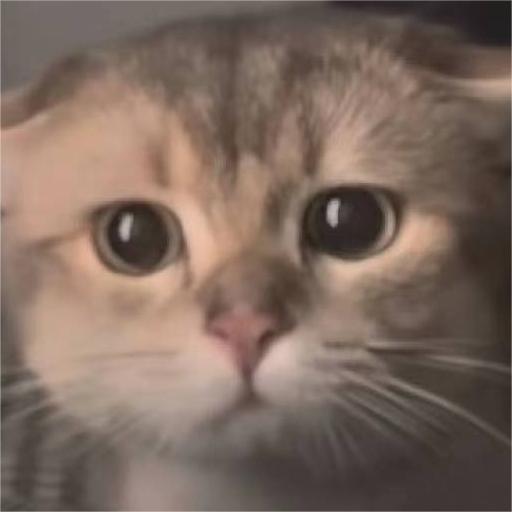 AtCoder profile picture for @unparalleled