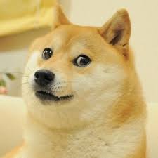AtCoder profile picture for @awful