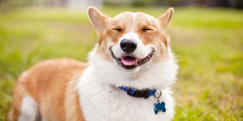 AtCoder profile picture for @tung